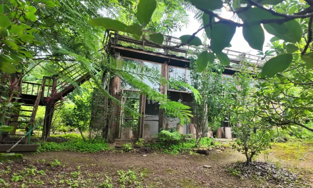 屋上に登ることができるビューポイントカフェ