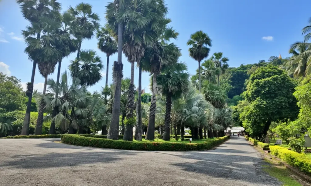 ルアンパバーン国立博物館の敷地内